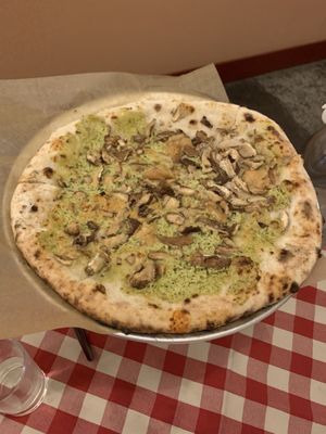 Nighthawk Napoletana by null