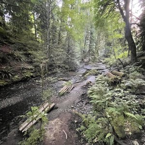 Boeing Creek Park on Yelp