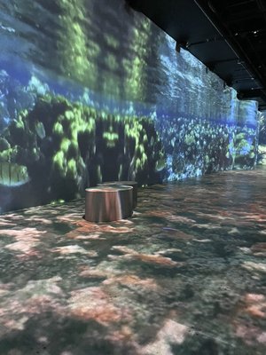OASIS immersion by null