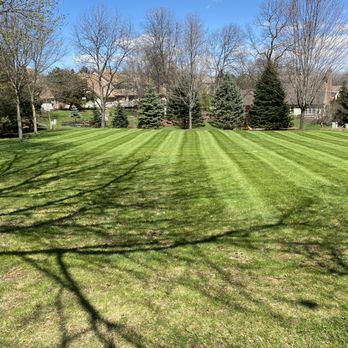Klopp Landscaping - a green lawn with trees in the background - Landscaping Near Me Klopp Landscaping - a green lawn with trees in the background - Landscaping Near Me