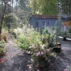 The Flower Shack - The Flower Shack "Barn"