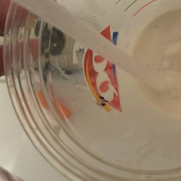 Root beer float with an ant