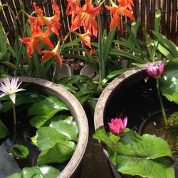 Karen Asato Bowen Therapy & Rolfing