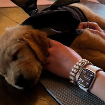 Paws & Pose - Yoga Near Me - Spokane, Washington Paws & Pose - Yoga Near Me - Spokane, Washington