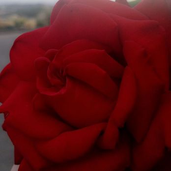 DAOU Vineyards - Wineries Near Me - Paso Robles, California