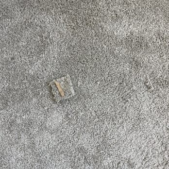 Gonzalez Carpet Cleaning - Carpet Cleaning Near Me Gonzalez Carpet Cleaning - Carpet Cleaning Near Me