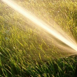 Forever Green Sprinklers and Landscapes