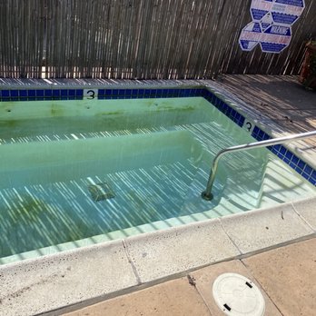 Kelley's Pool & Spa Care - Kelly's pool and spa maintenance close for three months and took the cover off and it looks like this despite $145 a month - Pool Cleaners Near Me - Chula Vista, California