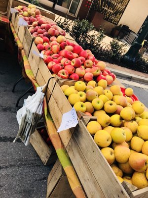 FRESHFARM Downtown Silver Spring Market by null