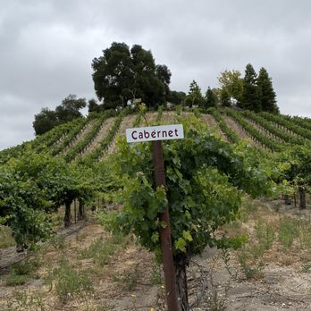 AronHill Vineyards - Enjoying the vineyards all the way up to the tasting room - Wine Tasting Room Near Me - Templeton, California AronHill Vineyards - Enjoying the vineyards all the way up to the tasting room - Wine Tasting Room Near Me - Templeton, California