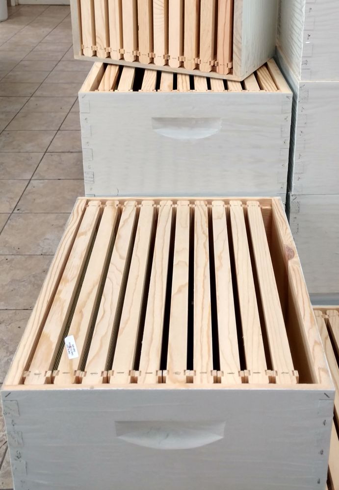 Jones Bee Company - beekeeping in Magna, UT