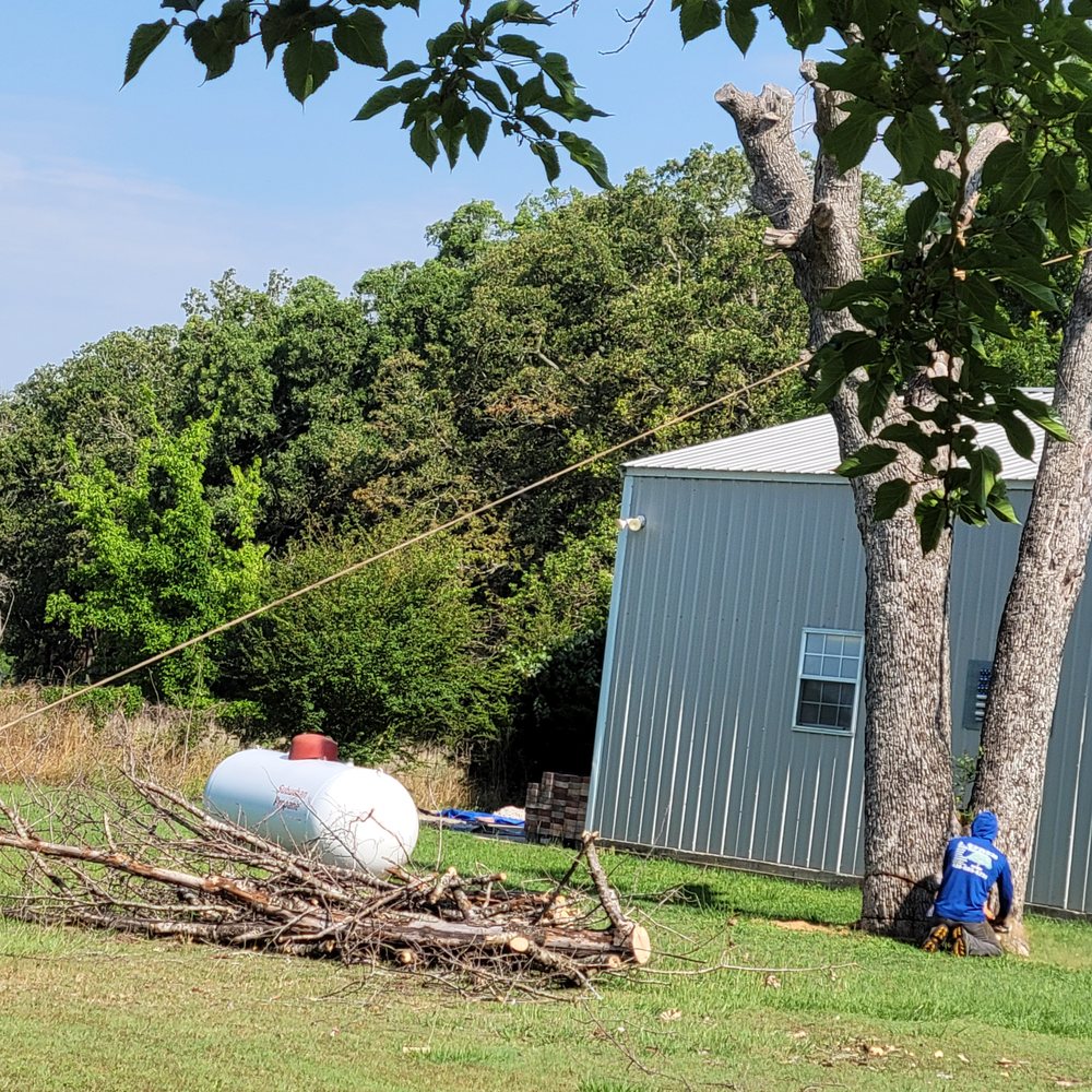 J. Efren Tree Service - Tree Services Near Me