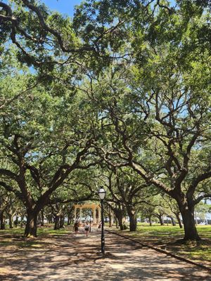 White Point Garden by null