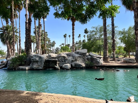 Encanto Park by null