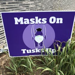 Amherst College - The Amherst mascot is a mastodon!
