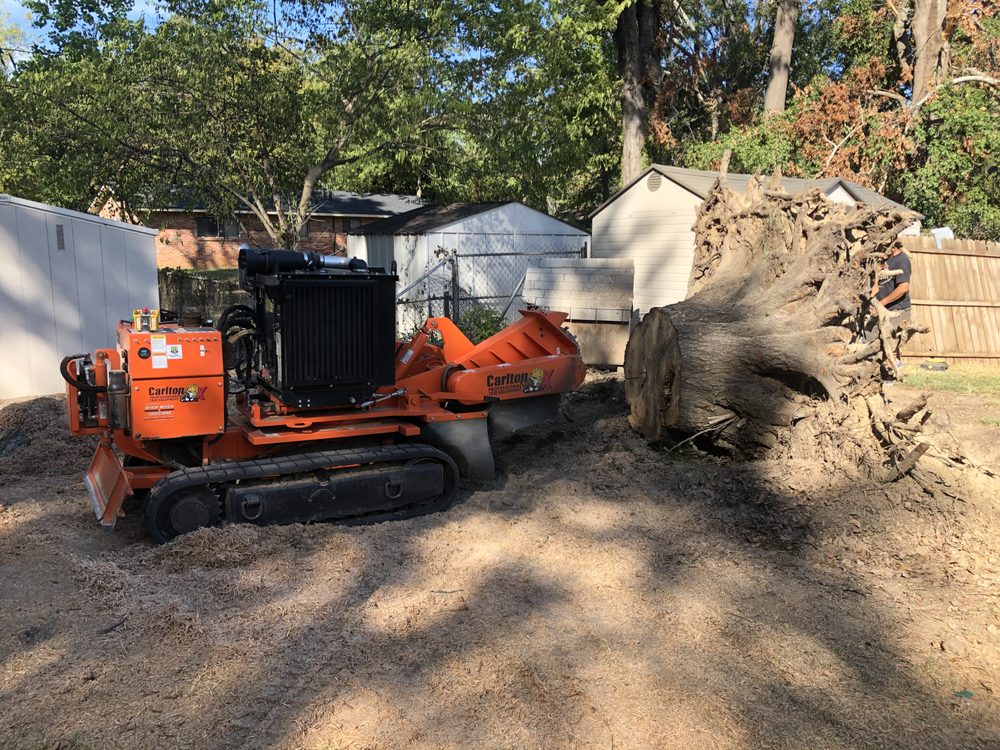 Capital City Stump Grinding - tree service in Montgomery, AL