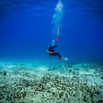 Island Divers - Scuba Diving Near Me - Honolulu, Hawaii Island Divers - Scuba Diving Near Me - Honolulu, Hawaii