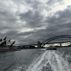 Taronga Zoo Ferries