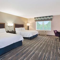 Hampton Inn and Suites Flint/Grand Blanc - Guest room