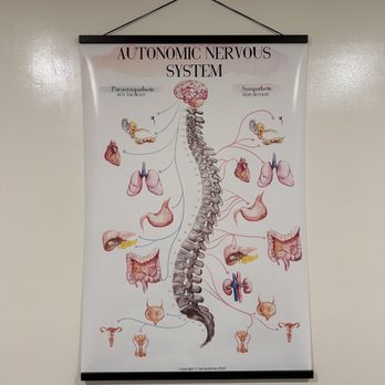 Turning Point Chiropractic - Chiropractors Near Me - Aiea, Hawaii