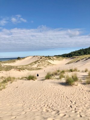 Ludington State Park Beach by null