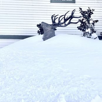 Elks Lodge - Mr. elk enjoying winter. - Venues & Event Spaces Near Me - Big Bear Lake, California Elks Lodge - Mr. elk enjoying winter. - Venues & Event Spaces Near Me - Big Bear Lake, California