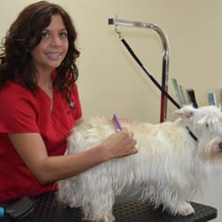 Scottie Paws Pet Resort & Spa - Best service for a great price.