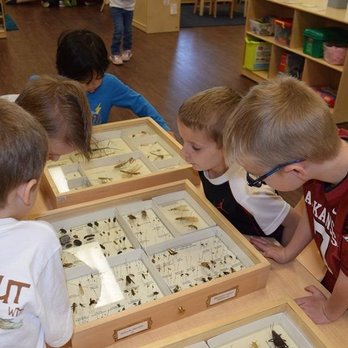 Cadence Academy Preschool - Summer Camps Near Me - Rogers, Arkansas Cadence Academy Preschool - Summer Camps Near Me - Rogers, Arkansas
