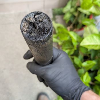 DB Plumbing - DB Plumbing cleared a thoroughly stopped up kitchen drain in Los Alamitos, CA - Plumbing Near Me - Buena Park, California DB Plumbing - DB Plumbing cleared a thoroughly stopped up kitchen drain in Los Alamitos, CA - Plumbing Near Me - Buena Park, California