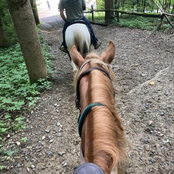 Sugarlands Riding Stable - Horseback Riding Near Me - Gatlinburg, Tennessee Sugarlands Riding Stable - Horseback Riding Near Me - Gatlinburg, Tennessee