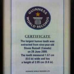 Portland Dental Associates - A world record on Portland Street.