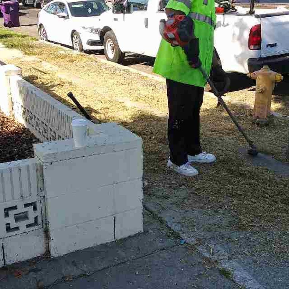 Jimmie's Tree Company - During - sidewalk view. Removal of the dead grass and weeds - Tree Services Near Me Jimmie's Tree Company - During - sidewalk view. Removal of the dead grass and weeds - Tree Services Near Me