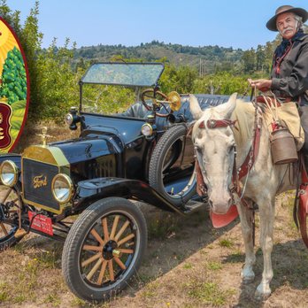 Mando Morlos Photography - Luz Del Valle Apple Orchard & Arabian Horse Ranch - Event Photography Near Me - Aptos, California Mando Morlos Photography - Luz Del Valle Apple Orchard & Arabian Horse Ranch - Event Photography Near Me - Aptos, California