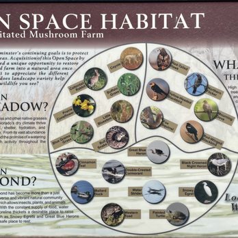 Savery Farm Mushroom Pond - Habitat information - Parks Near Me - Denver, Colorado Savery Farm Mushroom Pond - Habitat information - Parks Near Me - Denver, Colorado