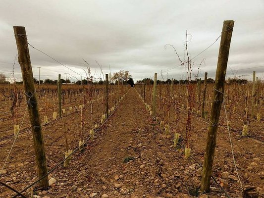 Bodega Ruca Malen by null
