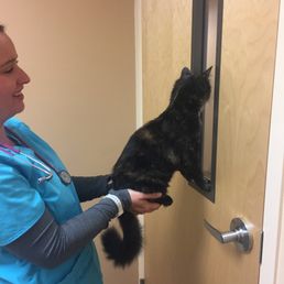 Sweet vet tech Julie helping my Cassie look out the window today :) Sweet vet tech Julie helping my Cassie look out the window today :)