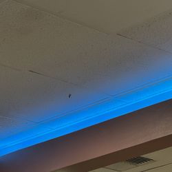 IHOP - A FUCKING SPIDER BRUH