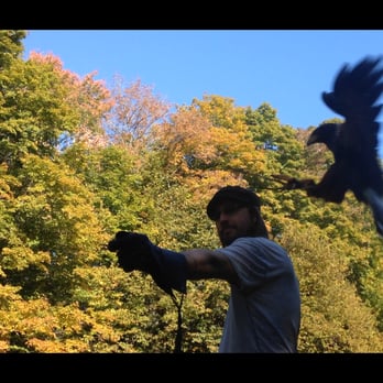 Green Mountain Falconry School - Specialty Schools Near Me - Bennington, Vermont
