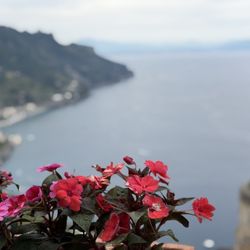Villa Rufolo