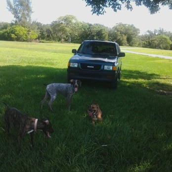 Coconut Grove Dog Walker - Resting under the shady tree at the pond. - Pet Sitting Near Me - Miami, Florida Coconut Grove Dog Walker - Resting under the shady tree at the pond. - Pet Sitting Near Me - Miami, Florida