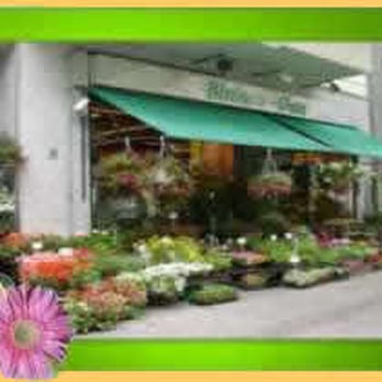 Blumen Oase - Florists Near Me - Berlin, BE Blumen Oase - Florists Near Me - Berlin, BE