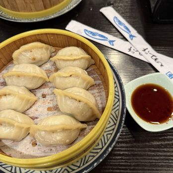 Fun Noodle Bar - Pork dumplings - Asian Fusion Near Me - Amarillo, Texas