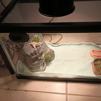 PetSmart - Got this awesome hide there and the food bowls - Pet Groomers Near Me - Palm Springs, California PetSmart - Got this awesome hide there and the food bowls - Pet Groomers Near Me - Palm Springs, California