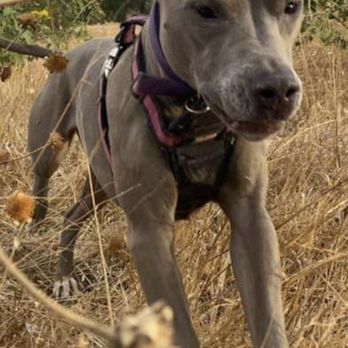 Aliso Canyon Park - Hiking Near Me - Granada Hills, California