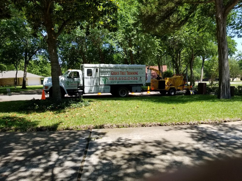 Gera's Tree Trimming - tree service in Dallas, TX