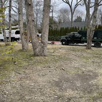 Hernandez Tree Care Service - Tree Services Near Me - Selden, New York Hernandez Tree Care Service - Tree Services Near Me - Selden, New York