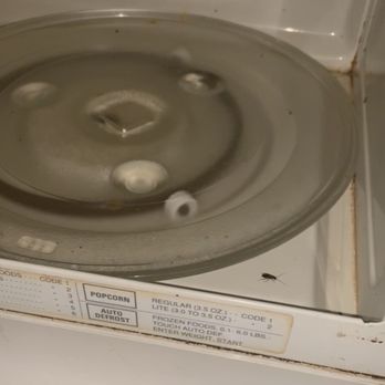 Budget Inn - Roach in the microwave. He didn't survive this encounter. - Hotels Near Me - Fallon, Nevada Budget Inn - Roach in the microwave. He didn't survive this encounter. - Hotels Near Me - Fallon, Nevada