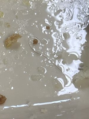 Break of Dawn Cafe by null