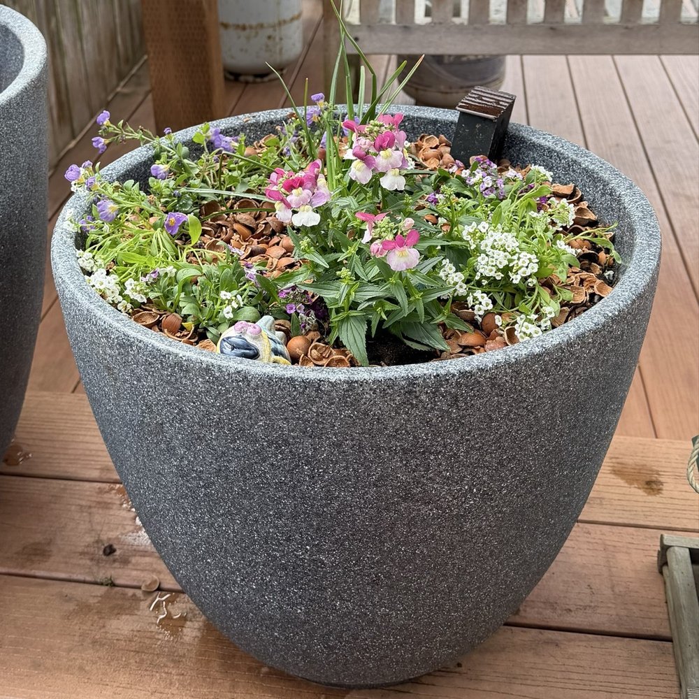 Coquille Garden - Planting of color spots. - Nurseries & Gardening Near Me - Coquille, Oregon