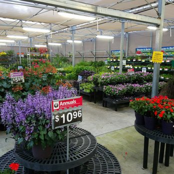 Walmart Supercenter - Lawn and Garden - Department Stores Near Me - New Port Richey, Florida Walmart Supercenter - Lawn and Garden - Department Stores Near Me - New Port Richey, Florida